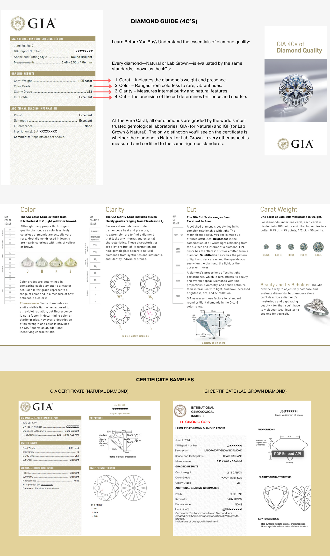 Web Banner